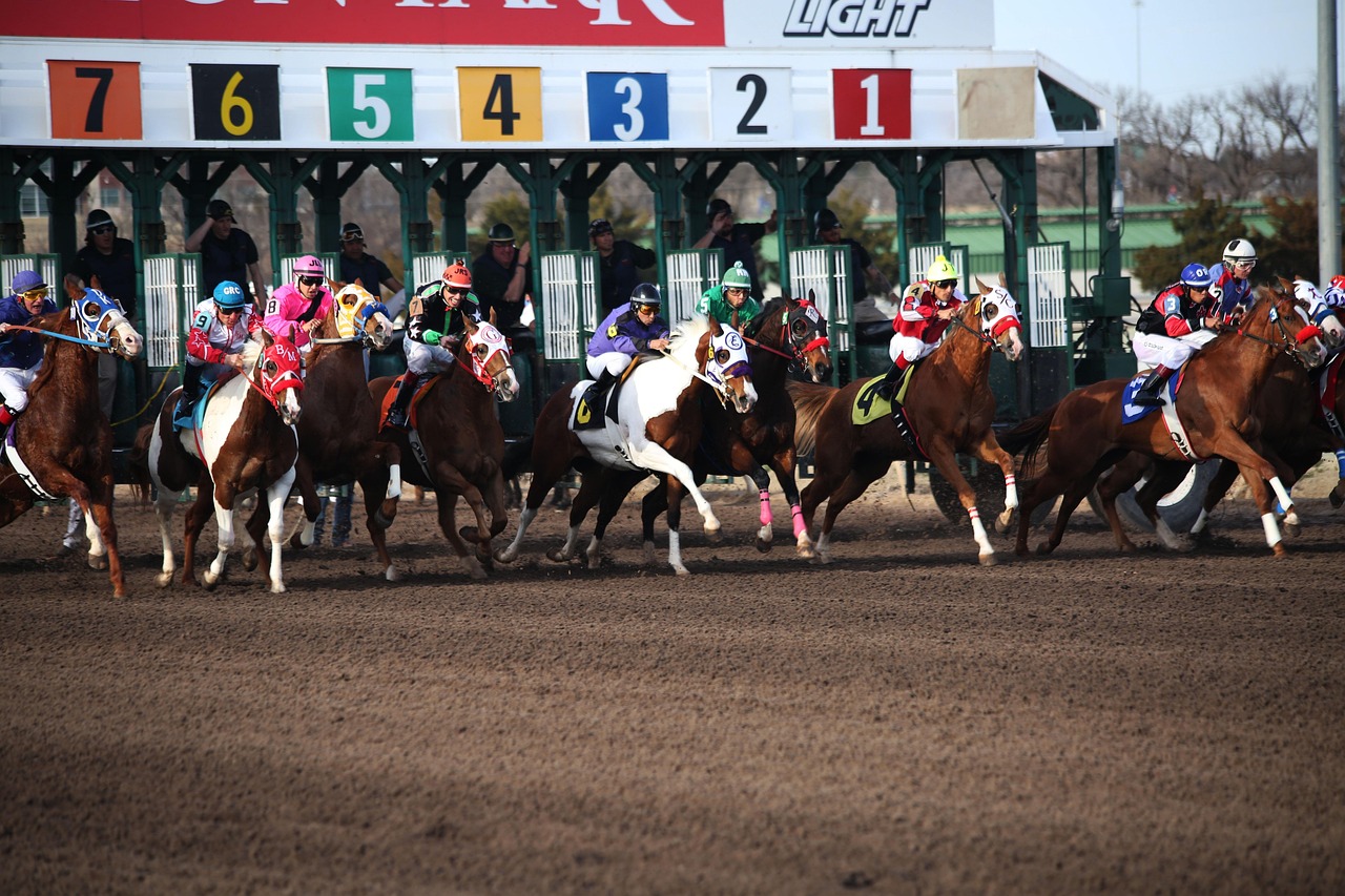 Famous Indian Horse Racing Betting Review 2027: Bonus, App, Withdrawal Tested